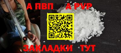 стаф Новокубанск