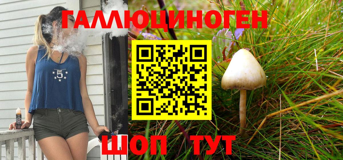 Галлюциногенные грибы мицелий  наркота  Ставрополь  Вход с VPN 